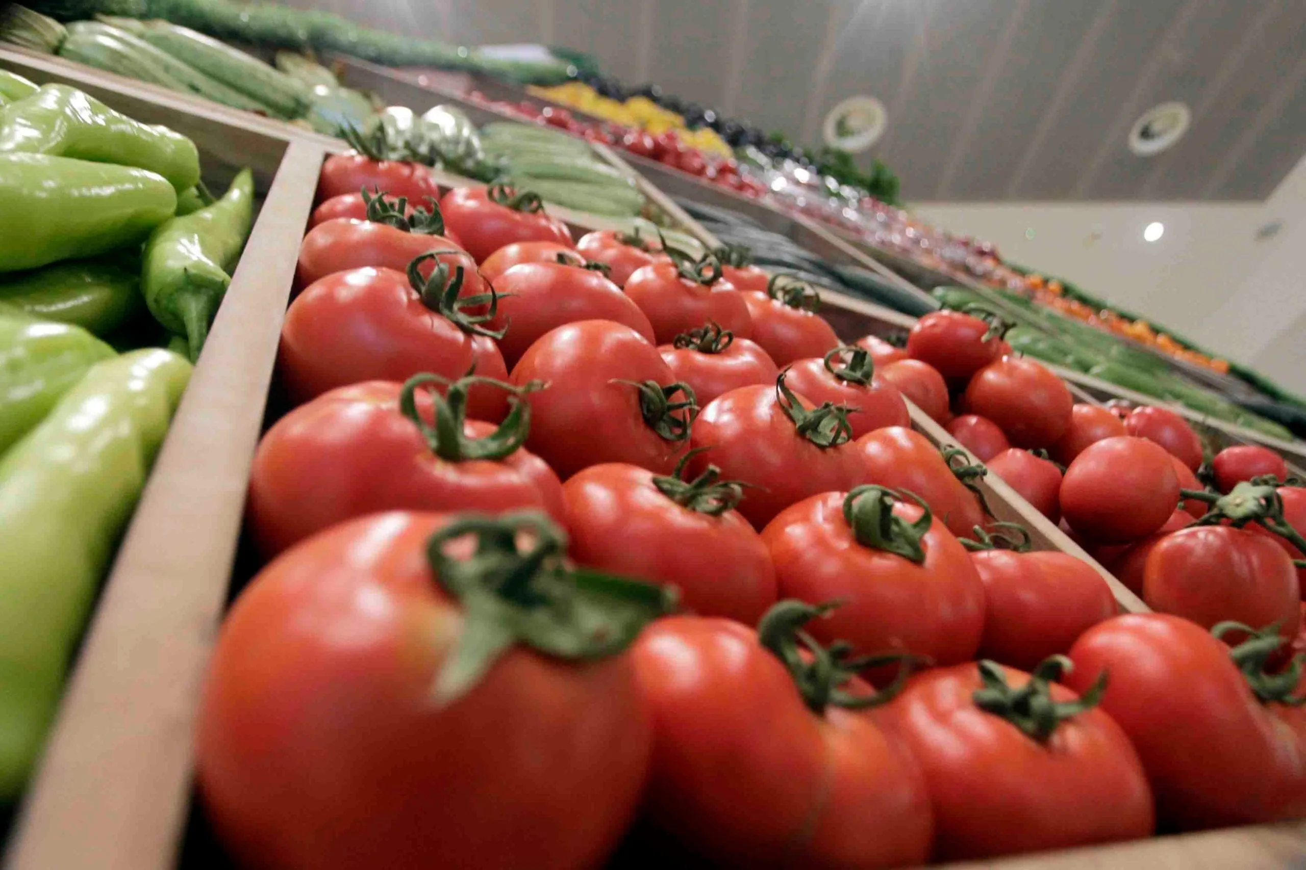 زيادة صادرات الطماطم المغربية بنسبة 269% تثير قلق الإسبان وضغوط لمراجعة الاتفاقيات التجارية زيادة صادرات الطماطم المغربية بنسبة 269% تثير قلق الإسبان وضغوط لمراجعة الاتفاقيات التجارية