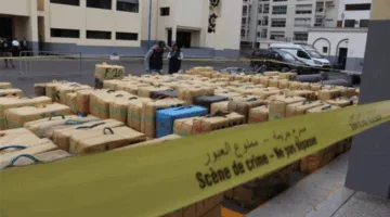 ضبط أكثر من 300 طن من الحشيش واثنين طن من الكوكايين في المغرب