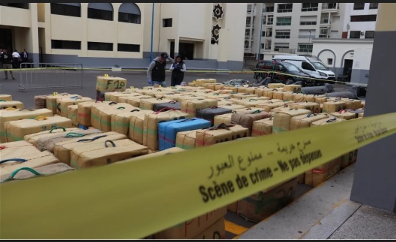 ضبط أكثر من 300 طن من الحشيش واثنين طن من الكوكايين في المغرب
