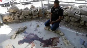 فلسطينيو “مسافر يطا”: سنبقى هنا حتى الموت ولن نسمح للمستوطنين بأخذ أرضنا
