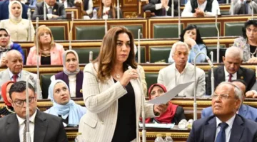 وزيرة التنمية المحلية: قدمنا لمجلس النواب تقريرًا مفصلًا عن الأراضي المناسبة لمشروعات الإسكان