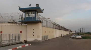 جروح تعذيب تعاني منها 10 فتيان من غزة أطلق سراحهم من قبل إسرائيل بعد شهر من الاعتقال