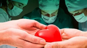 إعادة تنشيط قلب متبرع خارج جسم الإنسان خلال طفرة في زراعة الأعضاء