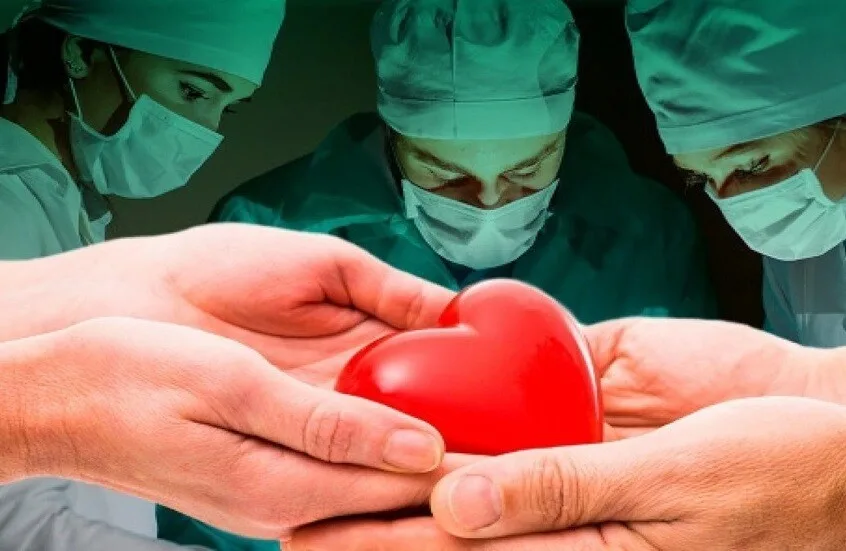 إعادة تنشيط قلب متبرع خارج جسم الإنسان خلال طفرة في زراعة الأعضاء إعادة تنشيط قلب متبرع خارج جسم الإنسان خلال طفرة في زراعة الأعضاء