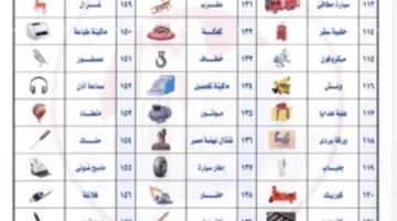 تأكيدًا لما نشرته “مصر تايمز”.. “الهيئة الوطنية للانتخابات” تصدر قائمة رموز المرشحين لمجلس الشيوخ.