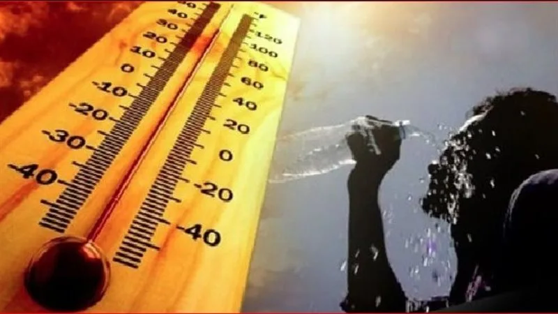 الأرصاد الجوية: ارتفاع كبير في درجات الحرارة يوم الجمعة.. وظهور ضباب كثيف في الصباح على الطرقات.