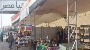 بعد “أجي بالدلع”.. نوال الزغبي تطل على جمهورها بثلاثة أعمال فنية جديدة