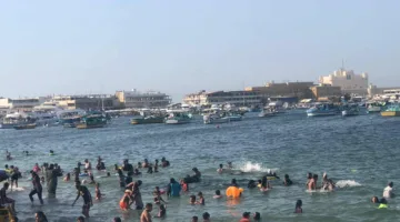 السياح يتواجدون بأعداد كبيرة على شواطئ الإسكندرية.. والمواطنون: نلتزم بتوجيهات فرق الإنقاذ