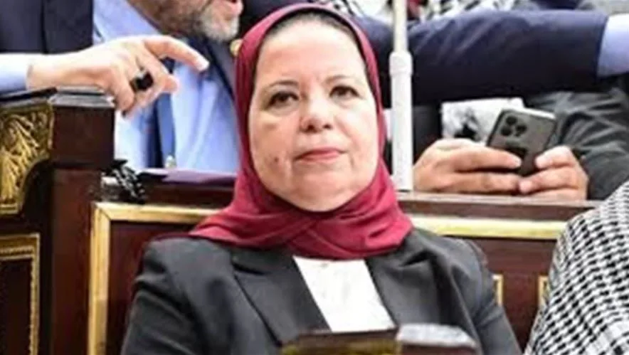 عضو في لجنة التعليم بالبرلمان: يجب إعادة تقييم مسارات نظام البكالوريا لهذه الأسباب