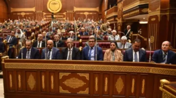 الانتخابات النيابية.. الحزب المصري الديمقراطي يشارك في اجتماع التحالف الوطني: الخيار المتاح للتعبير عن رأي المواطنين.
