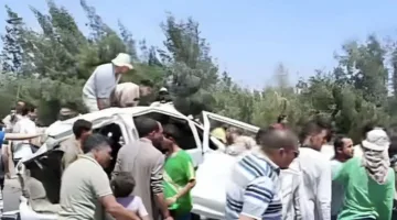 وزيرة التنمية المحلية تناقش مع محافظي المنوفية والجيزة تأثيرات حادث الطريق الإقليمي