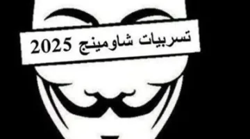 95% بحدود 4000.. شاومينج يدعي تغيير نتائج الثانوية العامة 2025.. والتربية ترد.