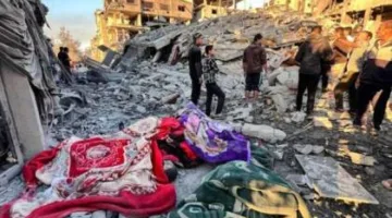 أطباء بلا حدود ت disclosed shocking mortality rates due to the Israeli war on Gaza.