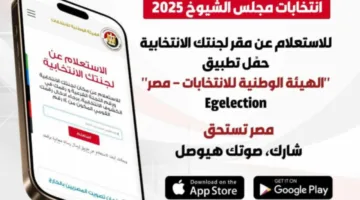 إطلاق تطبيق رقمي للاستعلام عن موقع لجنة التصويت في انتخابات مجلس الشيوخ