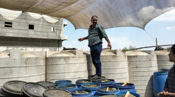 زيادة الجهود الرقابية لضبط الأسواق في مركز أولاد صقر بالشرقية