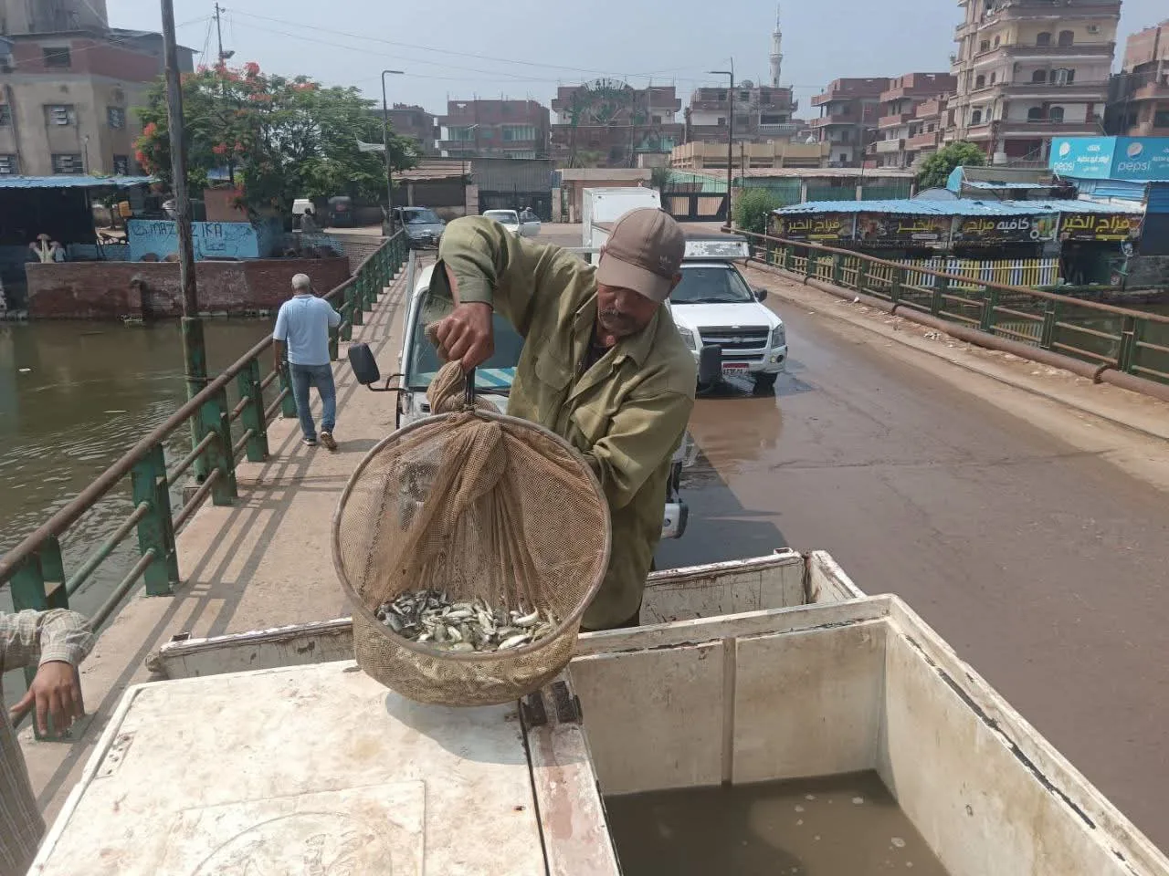 إطلاق 550 ألف أصبعية من أسماك المبروك في بحري أبو الأخضر بههيا وبحر مويس في الزقازيق بالشرقية إطلاق 550 ألف أصبعية من أسماك المبروك في بحري أبو الأخضر بههيا وبحر مويس في الزقازيق بالشرقية