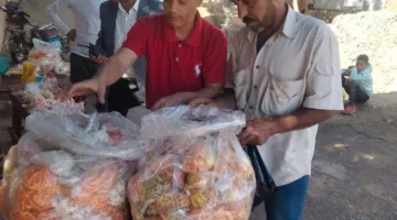 لجنة القرى: إجراء 24 زيارة ميدانية وتوثيق 145 مخالفة في مركز بني سويف
