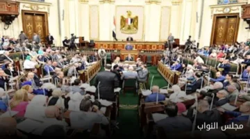 بالأسماء.. ٨ أعضاء من البرلمان يقدمون استقالتهم