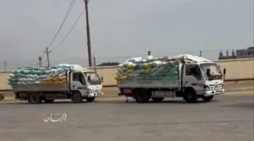 صوامع وشون الشرقية تستقبل ٦٠١٢٨٩ طن و١٩٣ كيلو غرام من الحبوب المحلية