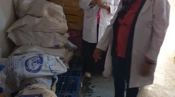 ضبط ٢ طن و٤٠٠ كجم من اللحوم والدواجن المجمدة غير المطابقة للاشتراطات في الشرقية.