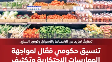 المركز الإعلامي لمجلس الوزراء: تنسيق حكومي فعال لمكافحة الممارسات الاحتكارية وتعزيز الرقابة على الأسعار