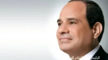 الرئيس السيسي يناقش مع نظيره الأنغولي قضايا السلم والأمن في القارة الإفريقية
