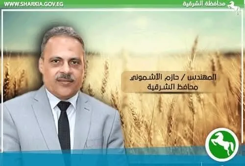 شون وصوامع محافظة الشرقية تكمّل تسليم ٦٠١٩٠٥ طن و٧٢٨ كيلو من القمح المحلي شون وصوامع محافظة الشرقية تكمّل تسليم ٦٠١٩٠٥ طن و٧٢٨ كيلو من القمح المحلي