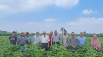 مديرية الزراعة في الشرقية تقيم يوماً ميدانياً لدعم محصول القطن