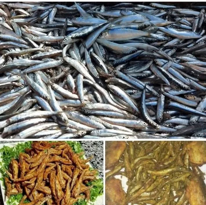 طريقة تحضير البساريا المقلية طريقة تحضير البساريا المقلية