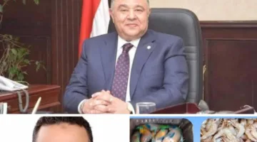 محافظ البحر الأحمر يطالب بتأمين المواد الغذائية ومكافحة الآفات وتنسيق المدن.