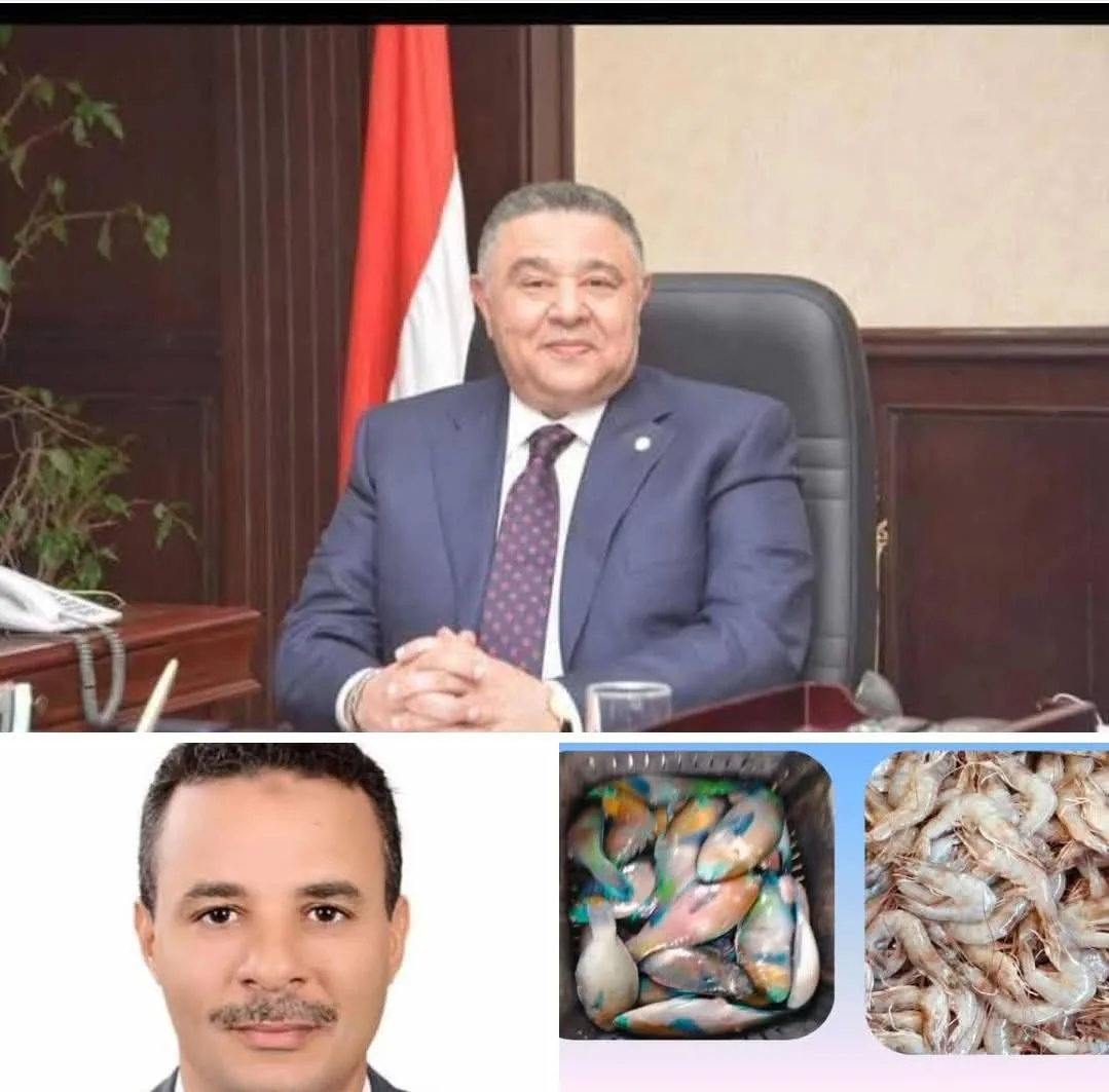 محافظ البحر الأحمر يطالب بتأمين المواد الغذائية ومكافحة الآفات وتنسيق المدن.