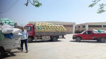 شون وصوامع الشرقية تُكمل إمداد 602372 طن و113 كيلو من القمح المحلي.
