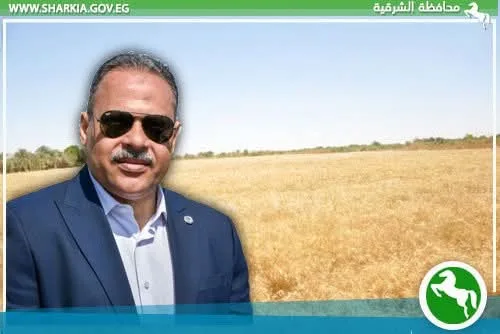 منذ بدء موسم الحصاد… صوامع وشون الشرقية تستقبل 602484 طن و798 كيلو من القمح المحلي. منذ بدء موسم الحصاد… صوامع وشون الشرقية تستقبل 602484 طن و798 كيلو من القمح المحلي.