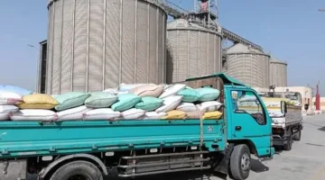 منذ انطلاق موسم الحصاد… صوامع وشون الشرقية تستقبل 60,2772 طن و526 كيلوغرام من القمح المحلي.