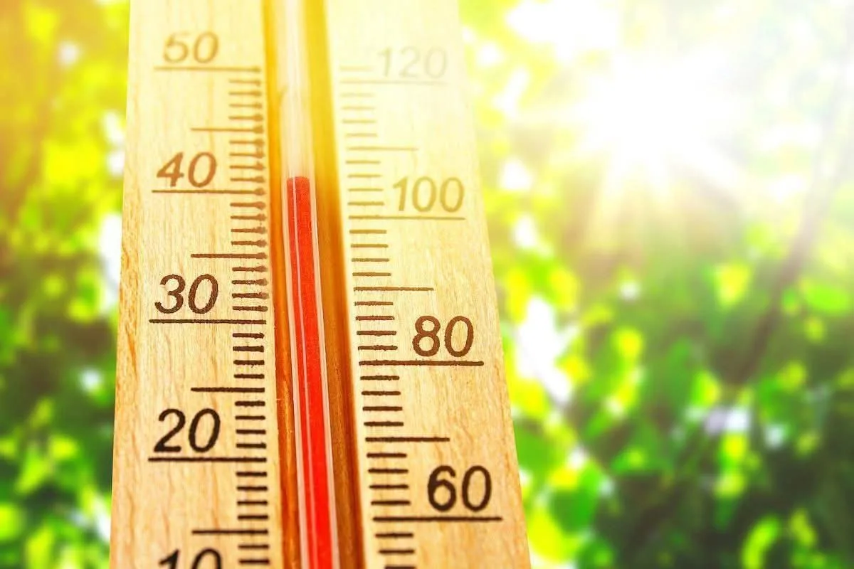 بيان يبرز تفاصيل الأجواء ودرجات الحرارة ليوم الجمعة