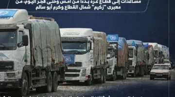 وصول 166 شاحنة مساعدات إلى غزة في غضون 24 ساعة