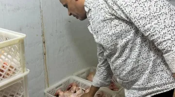 مصادرة 11 طنًا من منتجات وهياكل الدواجن والدهون الفاسدة وغير الصالحة للاستخدام في الجيزة