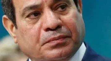 الرئيس السيسي يدعو إلى تسريع تنفيذ مشاريع المحاور اللوجستية للتنمية المتكاملة