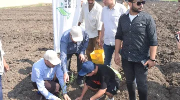 رئيس جامعة بنها يزرع 1000 شجرة زيتون في كلية الزراعة ويتواجد في حصاد سمك البلطي