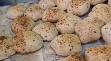 مديرية التموين بالقليوبية تدعو إلى زيادة الرقابة على جميع الأنشطة التجارية
