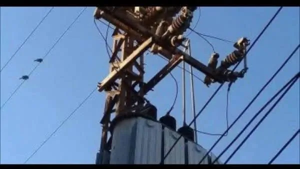 محطة تحويل جزيرة الذهب تتعرض مرة أخرى لفصل كامل عن الشبكة محطة تحويل جزيرة الذهب تتعرض مرة أخرى لفصل كامل عن الشبكة