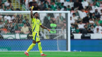 البيانات المالية لانتقال دوران إلى فنربخشة من النصر