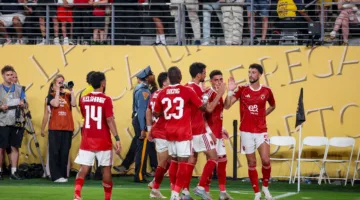 استقالة حديثة في النادي الأهلي المصري