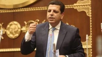 رئيس اللجنة البرلمانية للمصري الديمقراطي: نعارض قانون الإيجار القديم ونطالب بإلغاء المادة الثانية.