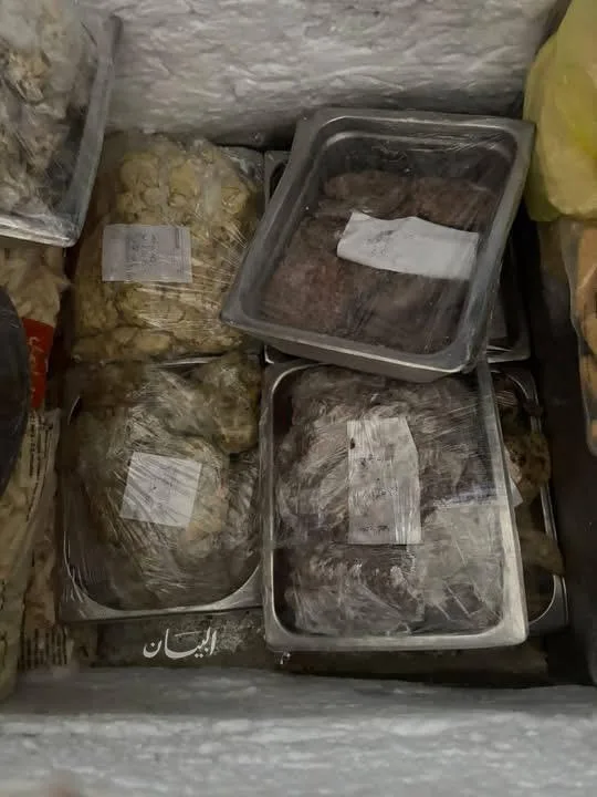 محمد همام يعمل على تنفيذ حملة شاملة لمراقبة المنشآت الغذائية في رأس البر.