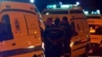 مصرع أم وابنتها وإصابة ثلاثة أطفال في حادث مروع على طريق كوم حمادة الطود بالبحيرة