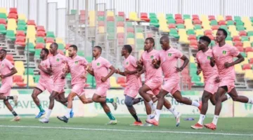 قبل مغامرته في أدغال أفريقيا، غاراي يكشف عن استعداده لبطولة الشان في أغسطس.