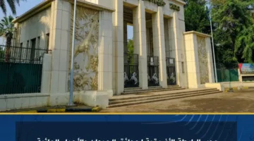 مدير الرابطة الأفريقية لحدائق الحيوان يثني على جهود مصر في تحديث حديقة الحيوان بالجيزة