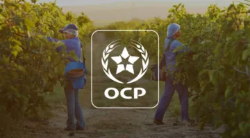 OCP Nutricrops تسجل رقمًا قياسيًا في إنتاج TSP وتبدأ مرحلة جديدة نحو الزراعة المستدامة.