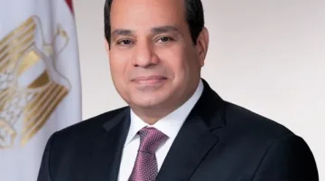 Proceeding Forward: President Sisi Directs the Launch of a Government Commercial Series in Partnership with the Private Sector